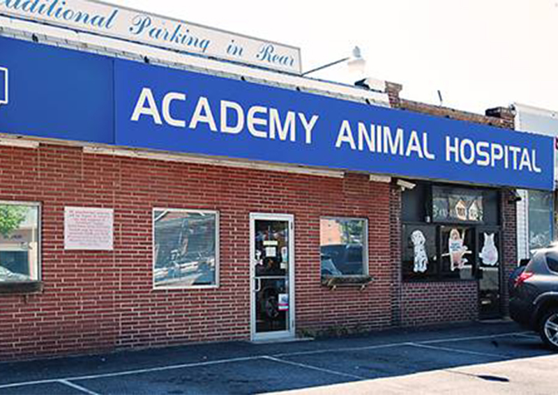 Carousel Slide 4: Academy Animal Hospital, Academy